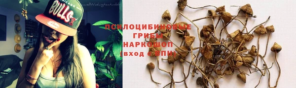 гашишное масло Аркадак