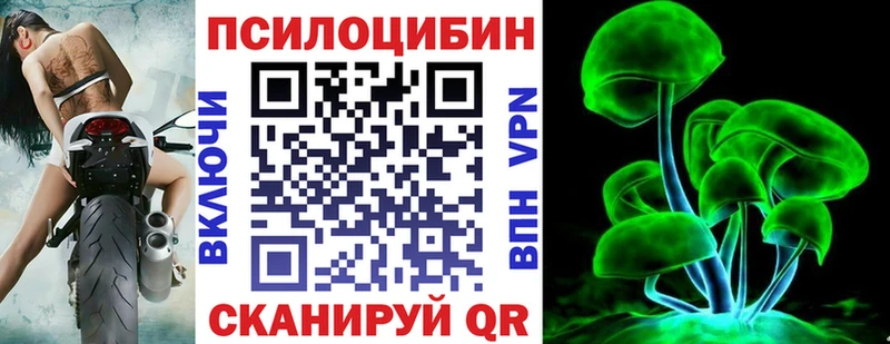 Псилоцибиновые грибы Psilocybe  Реутов 