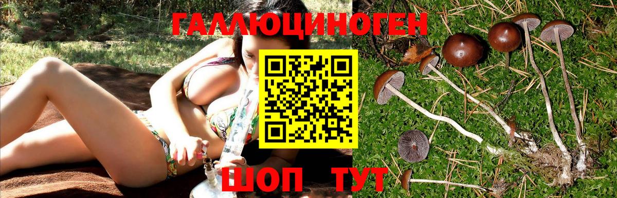 Реутов  Галлюциногенные грибы Magic Shrooms  Вход с VPN 