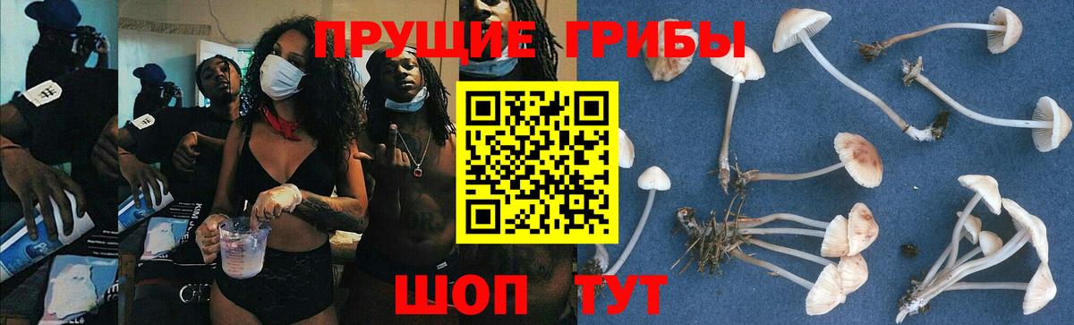 Галлюциногенные грибы GOLDEN TEACHER Реутов